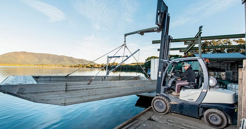 How a refurbished Crown forklift is boosting operator comfort and performance for Harper Oysters