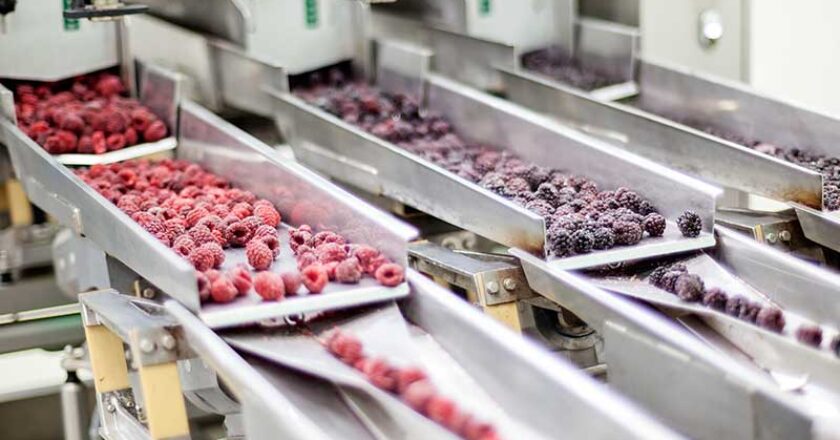 Manufacturing bounced back in November, with the food and beverage sector leading the way