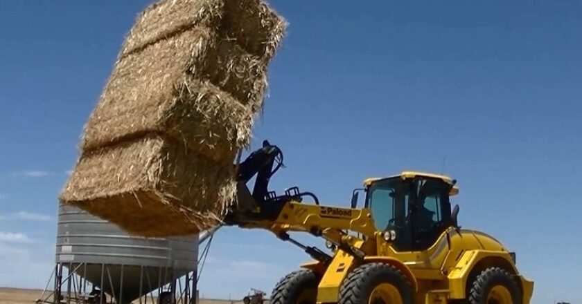 Palazzani PT 192 telescopic loader ereview