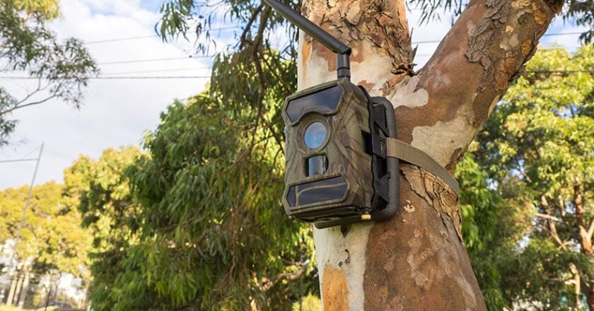 The Selecta Wide Angle Motion Activated Security Camera will record day or night